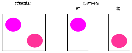 250225-3